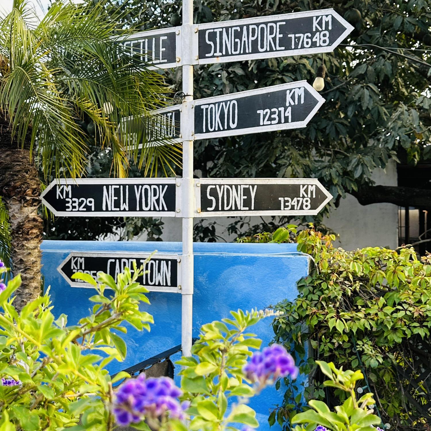 Rooftop at Luna de Miel