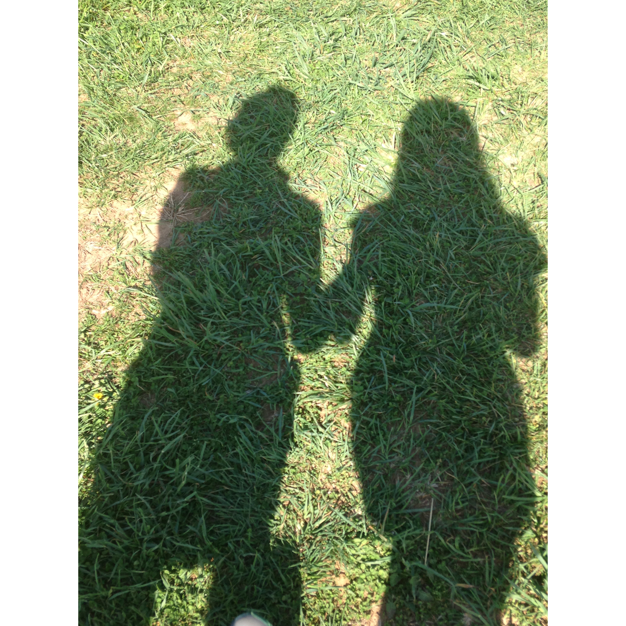 2015 - Huntingdon Valley, PA - Hiking around Bryn Athen and Pennypack Trust