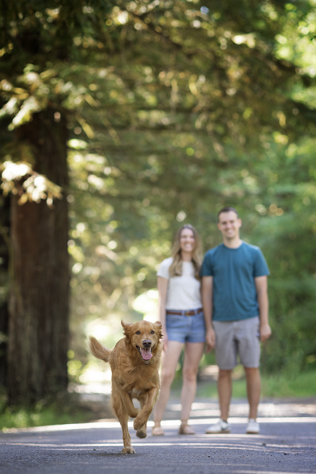 The Wedding Website of Natalie Craig and Drew Groshong