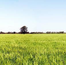 Home Land Fund