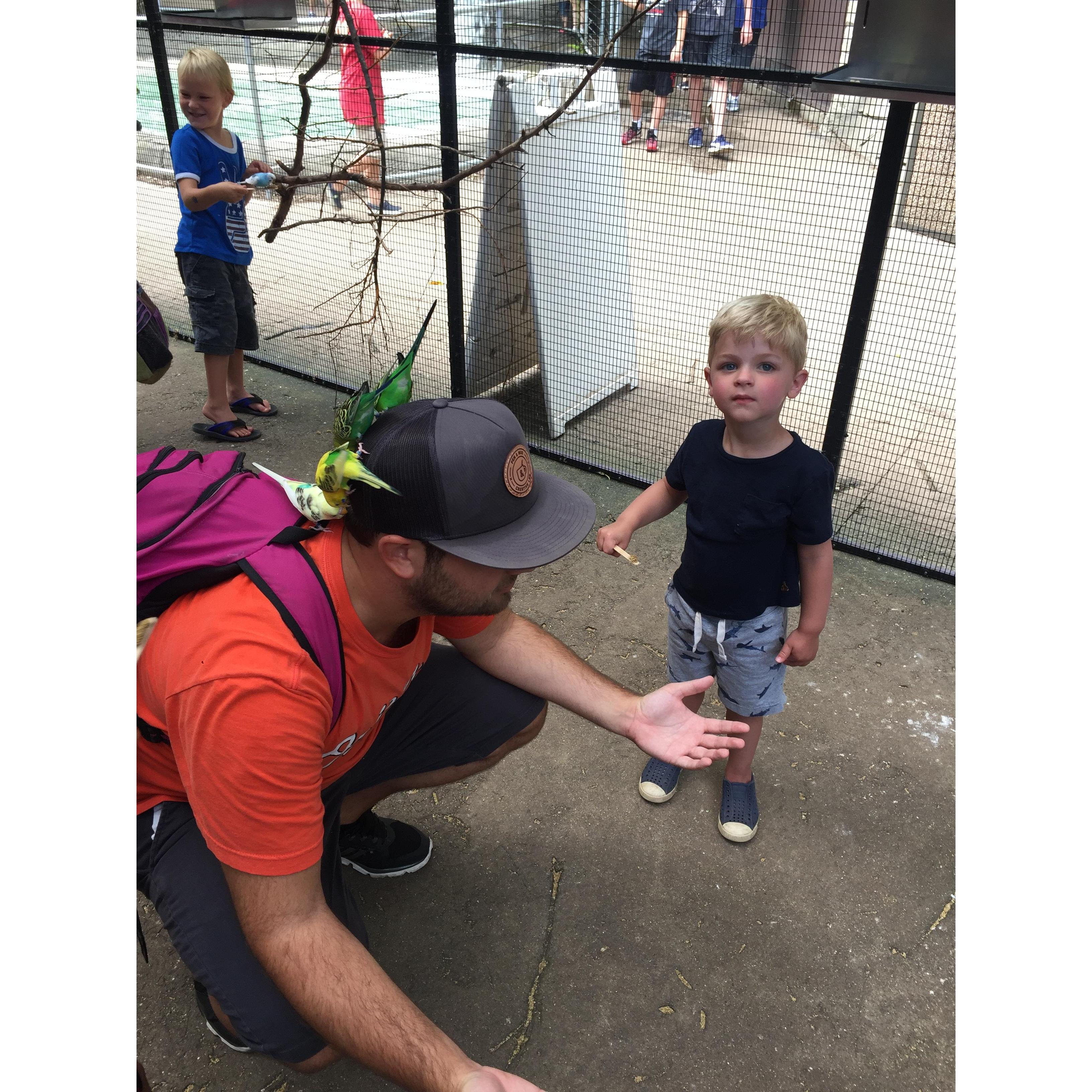 We convinced our nephew, Will, that the birds at the zoo ate all of Max's hair and this is why he's bald now. 3 years later and this is still the story we tell.