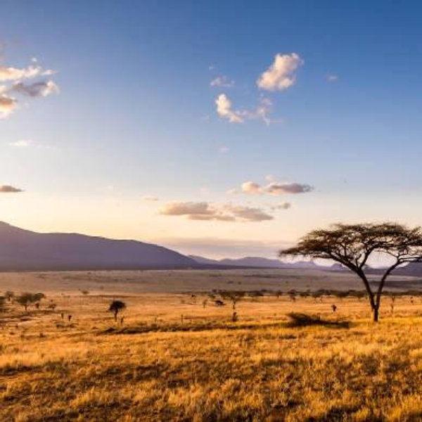 Our Honeymoon to South Africa