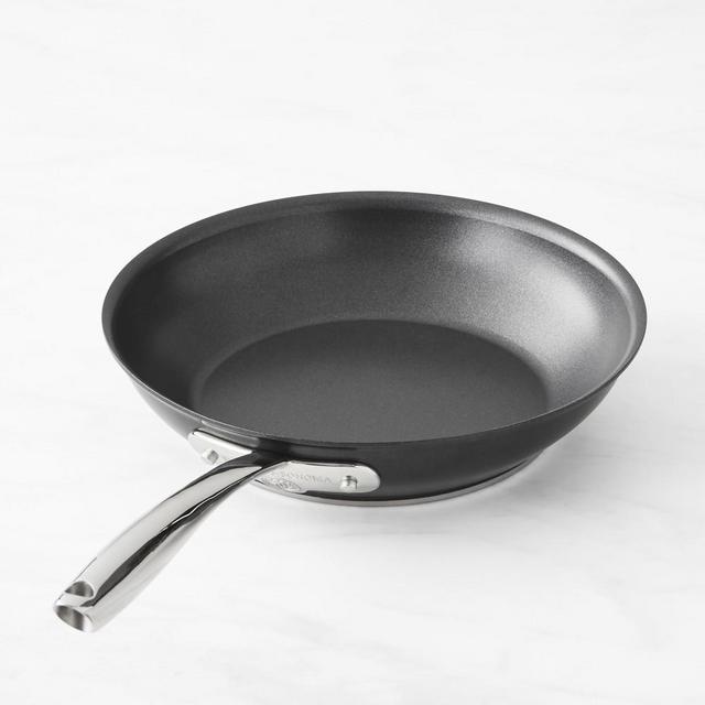 Williams Sonoma Thermo-Clad Induction Nonstick Open Fry Pan, 10 1/2-Inch