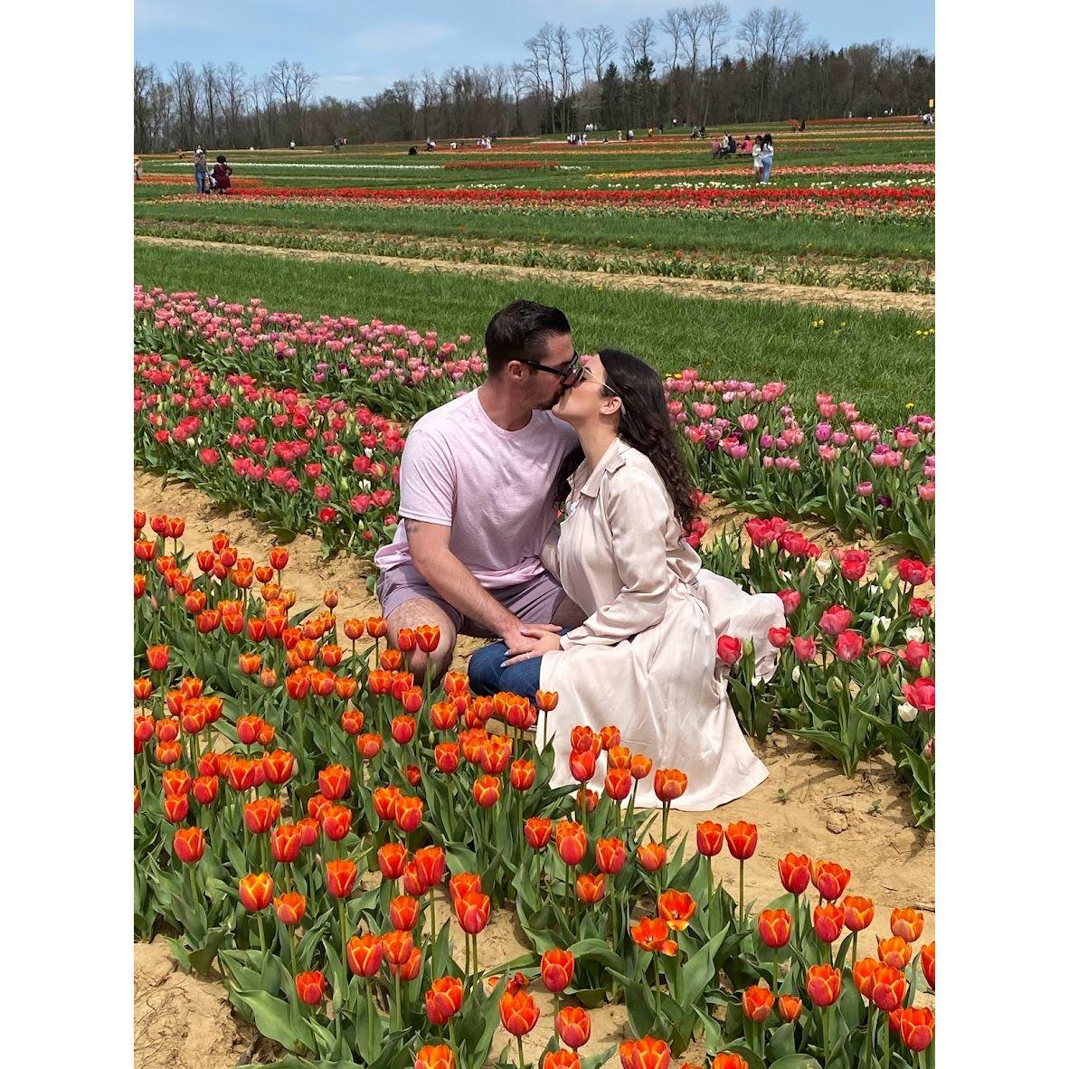 Holland Farms, 04/2022