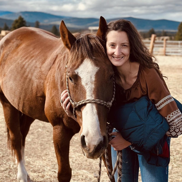 Pregnant Mare Rescue (PMR)
