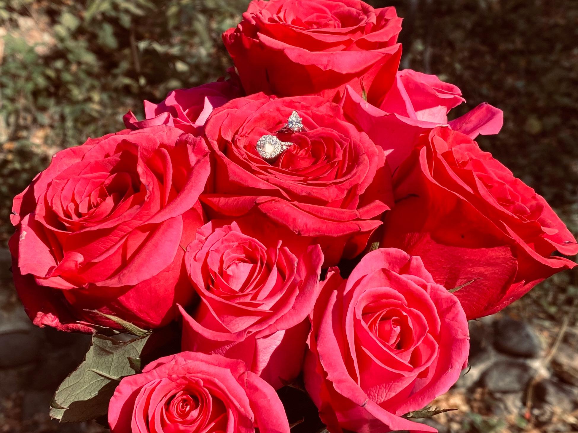 The Wedding Website of Jessica Marie Galvez and Madison Mae Crnkovich
