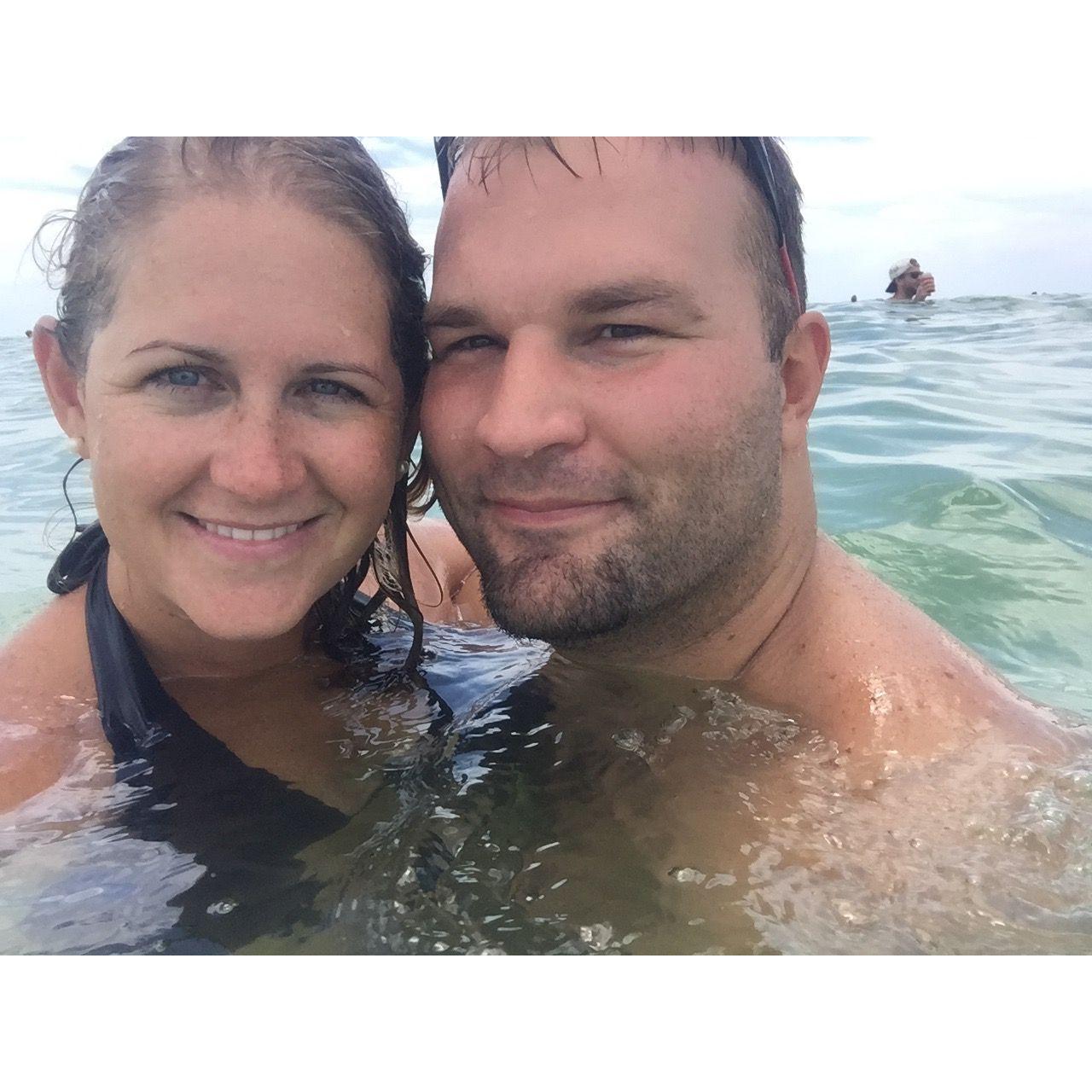 Snake Island, Venice, Florida