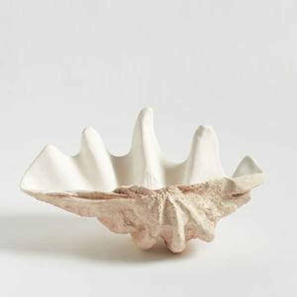 Shell Party Bucket Collection
