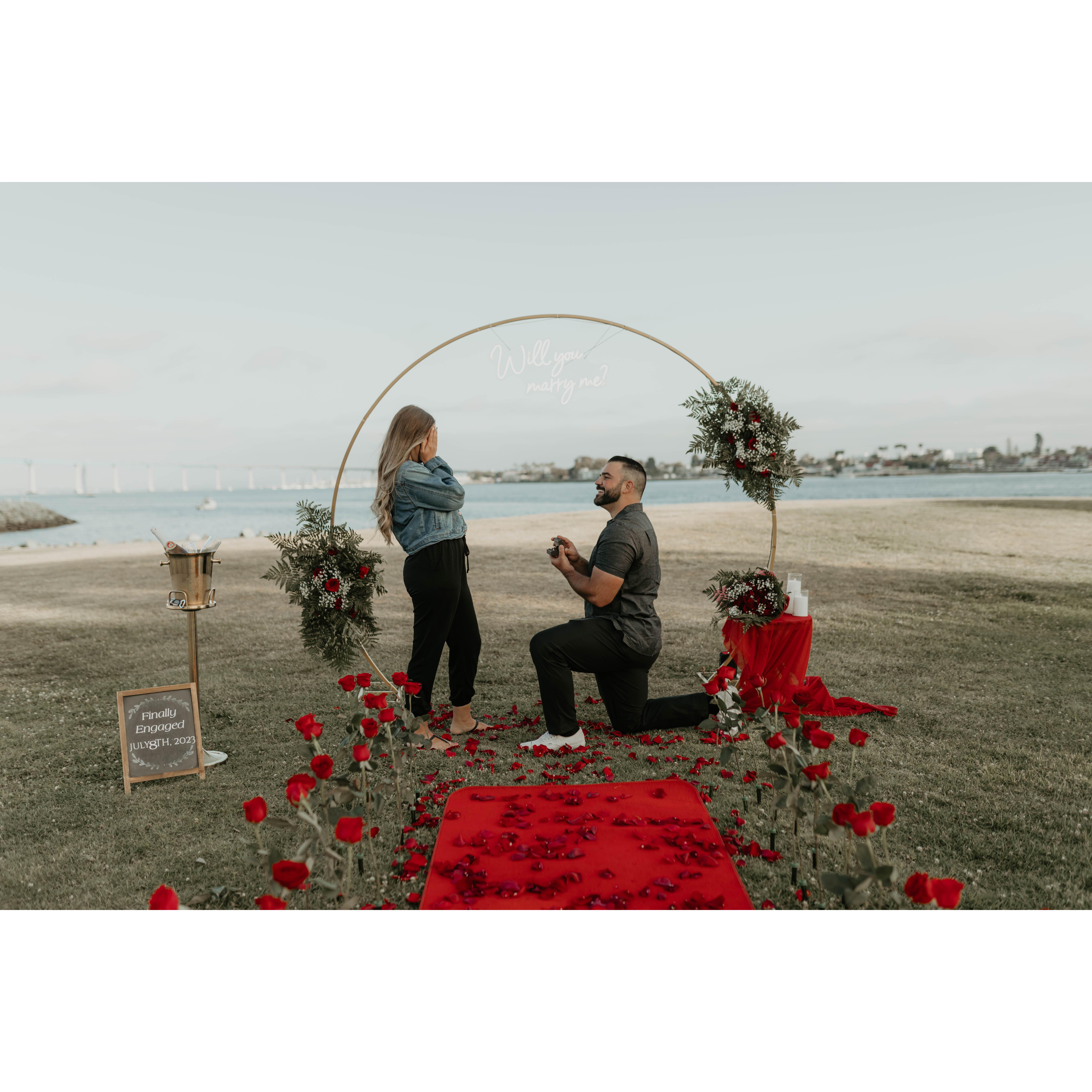 Finally engaged!!