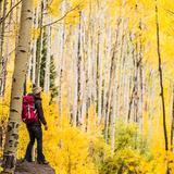Fall Foliage Hikes 🍂