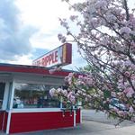 Ice Cream at Dari Ripple