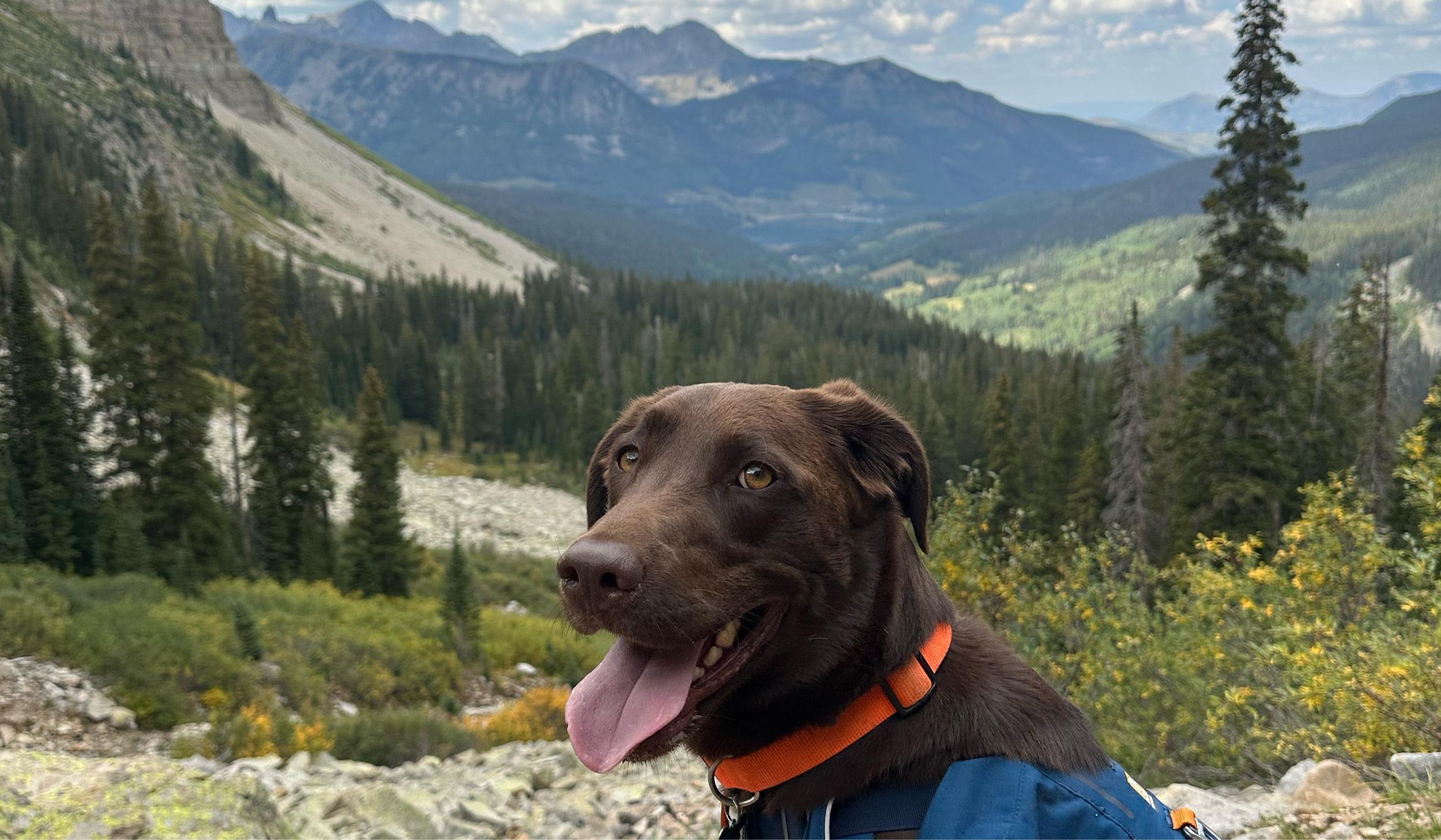 c7d2f46e-2a8f-48a7-8711-818fac2f0e5b