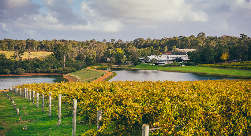 The Wedding Website of Shelby Windmuller and Michael U'Chong