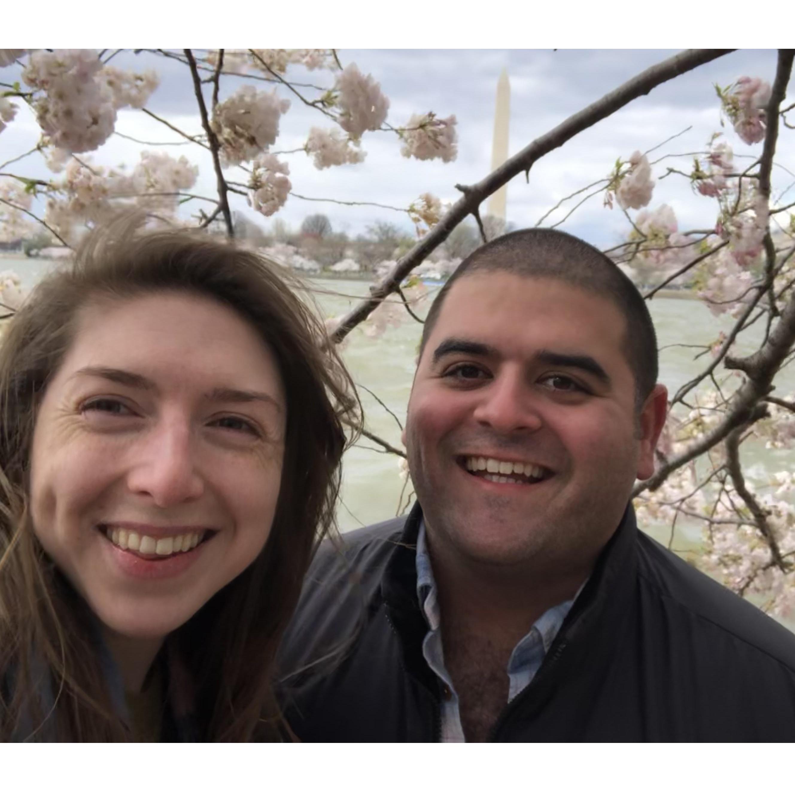 April 2022 D.C. Cherry Blossom Festival