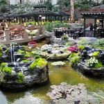 Garden Conservatory at the Gaylord Opryland