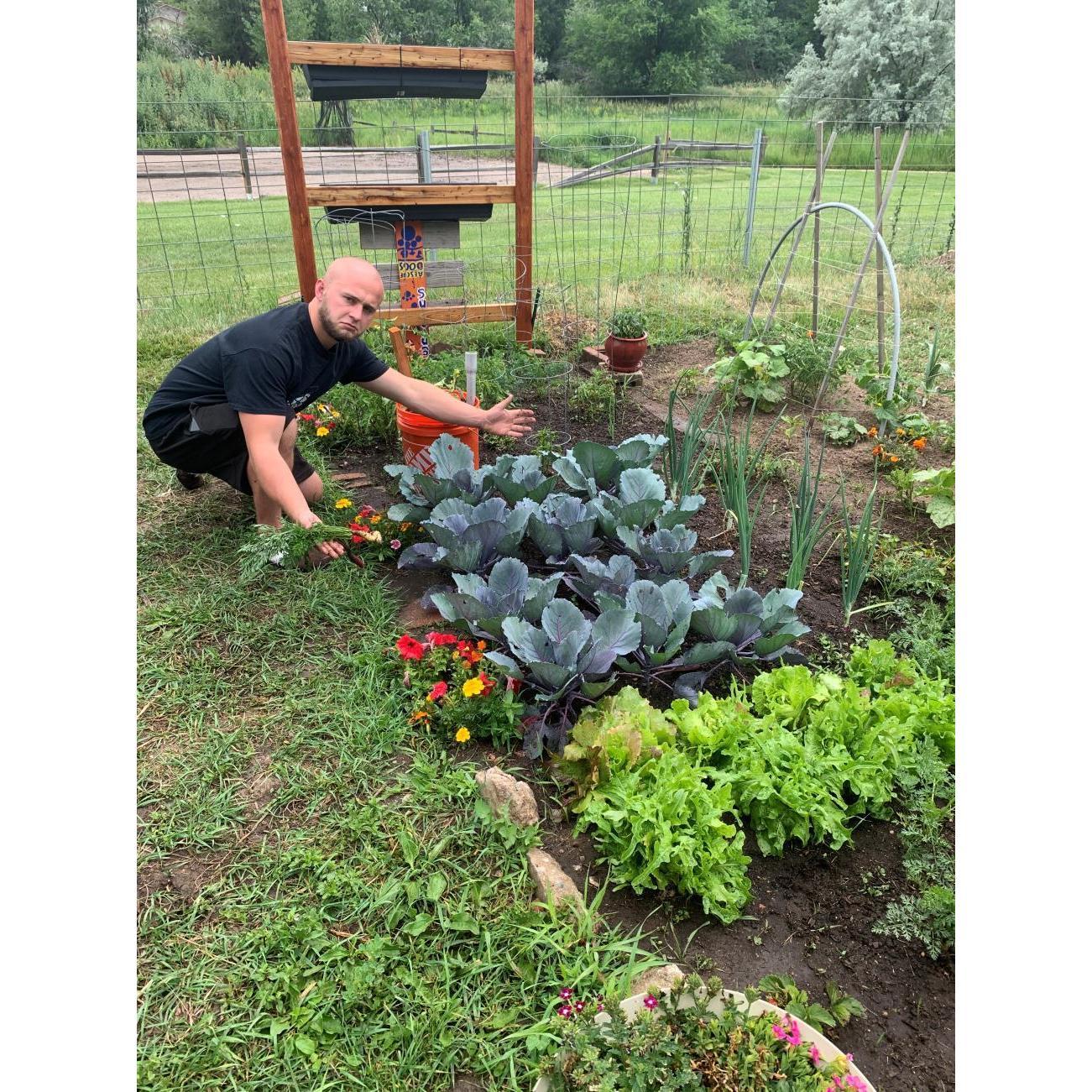 Our garden!