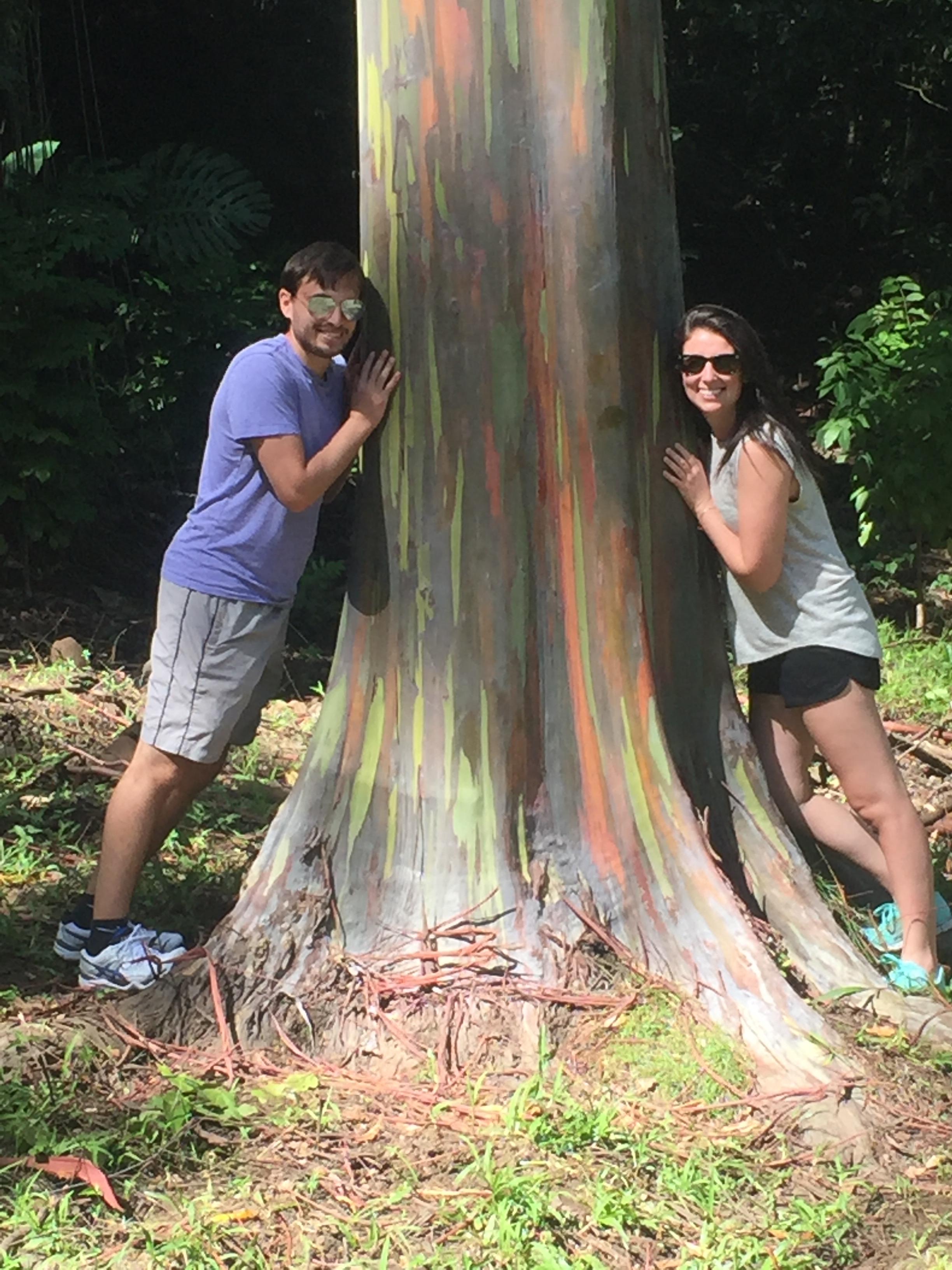 The Wedding Website of Alex Willig and David Helene