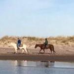 Horseback Riding at Montauk County Park