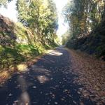 Dutchess Rail Trail