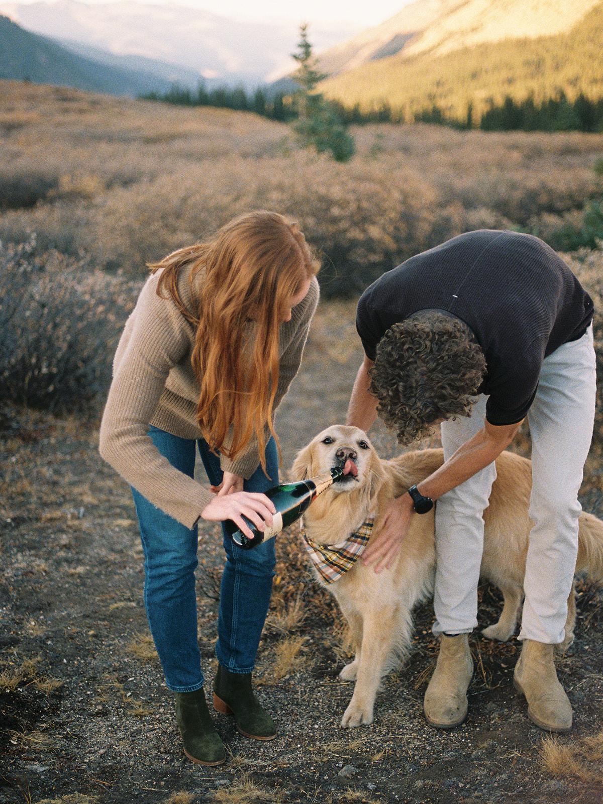The Wedding Website of Phillip Croker and Cameron Boland
