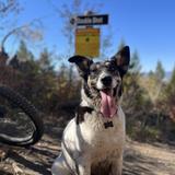 Jug Mountain Ranch - mountain biking/hiking trails