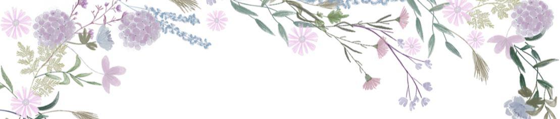 The Wedding Website of Alexis Luera and Juan Luera