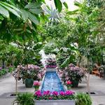 United States Botanic Garden