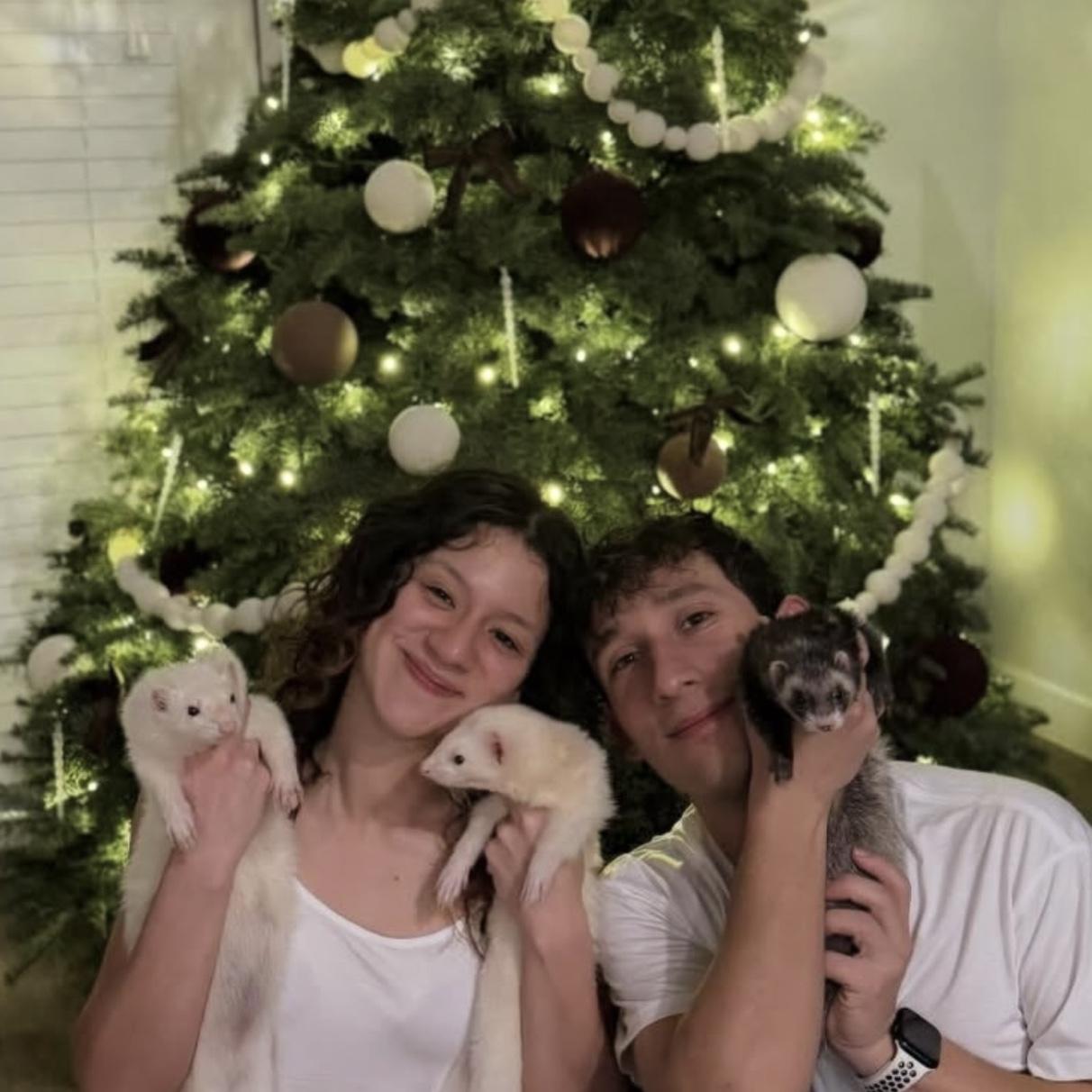 Creamos una bella familia.