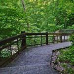Walking & Hiking Trails