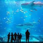 Aquarium