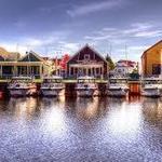 Dumper Dan's Charter Fishing & Lodging