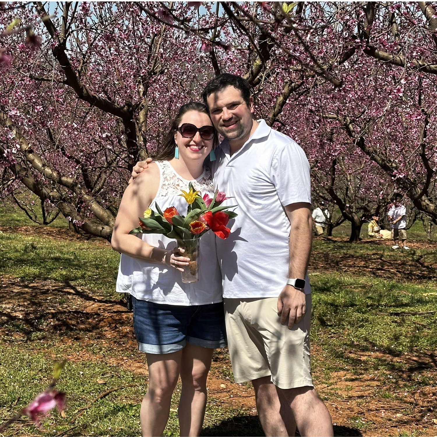 Tulip picking at Jaemor Farms