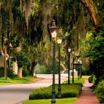 Palmetto Bluff
