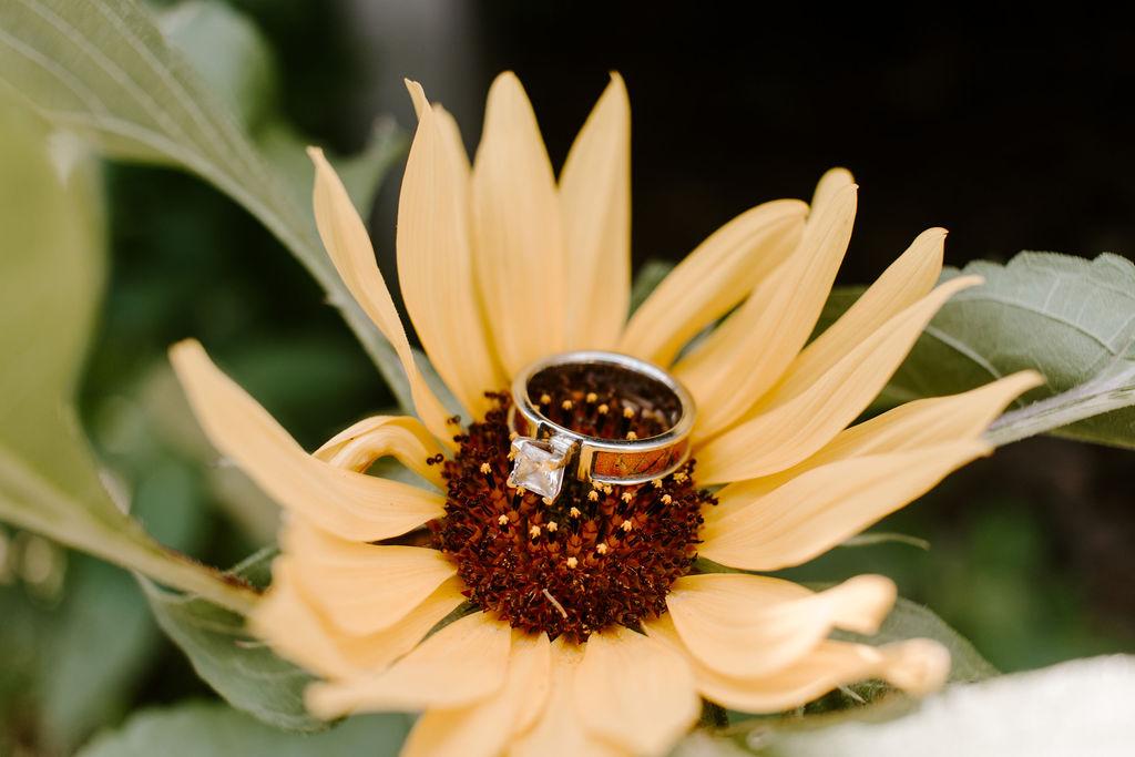 The Wedding Website of Meghan Foglio and David Armanini