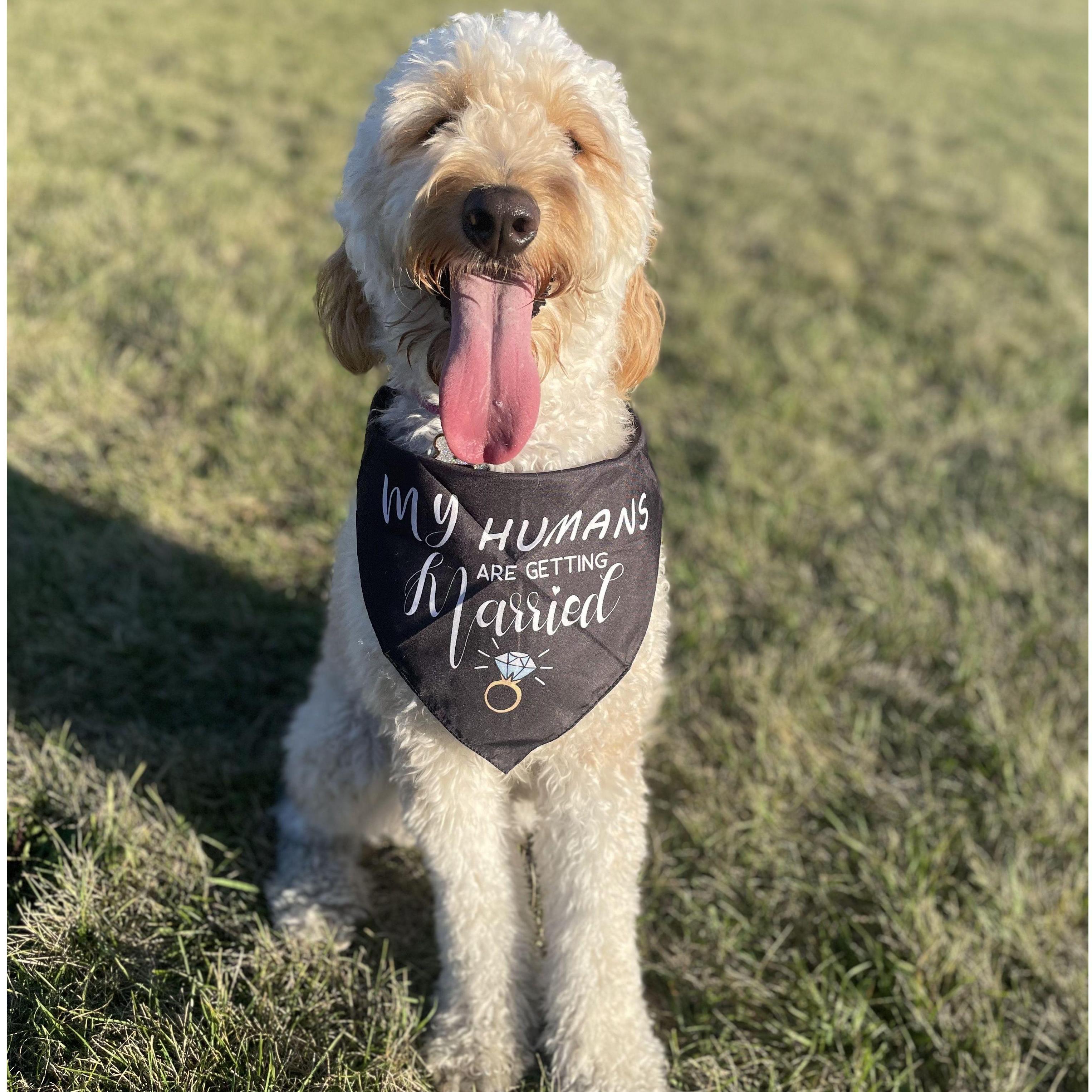 Brooklyn is excited her parents are getting married!