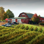 Carter Mountain Orchard and County Store