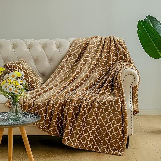 GONAAP Summer Soft Fleece Blanket Throw Lightweight Decorative Thin Breathable Blankets for hot Sleepers, Cool Light Thin Blanket Velvet Plush Throw for Night Sweats Brown 50x70