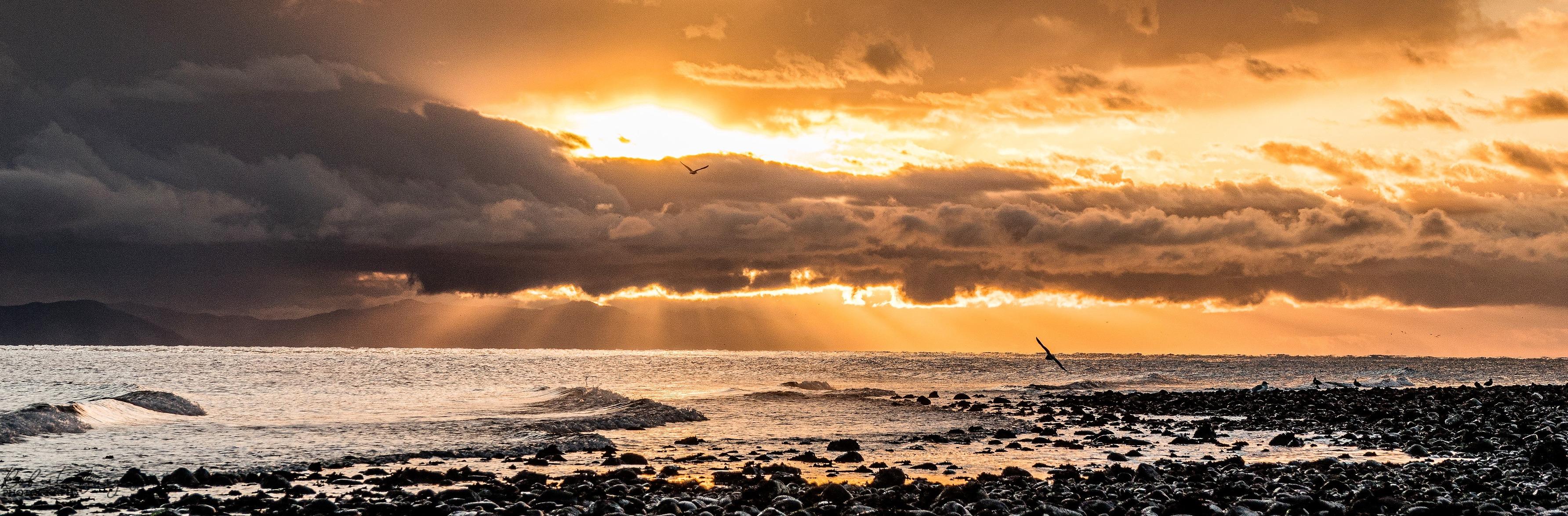 The Wedding Website of Marlee Corra and Tanner Uzzell