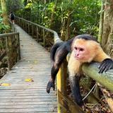 Manuel Antonio National Park