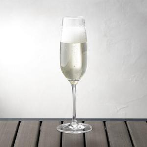 Acrylic Champagne Glass