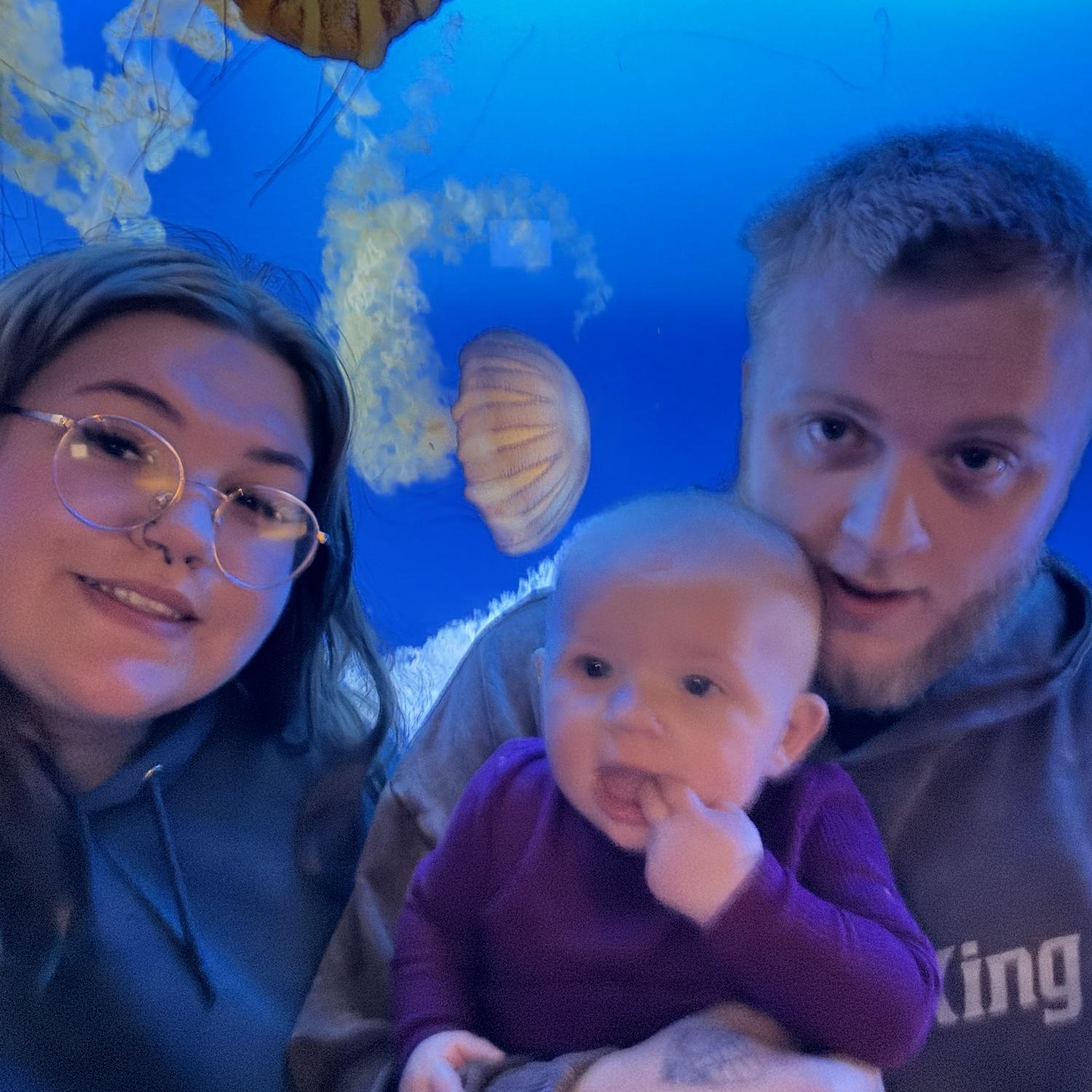 Aquarium day