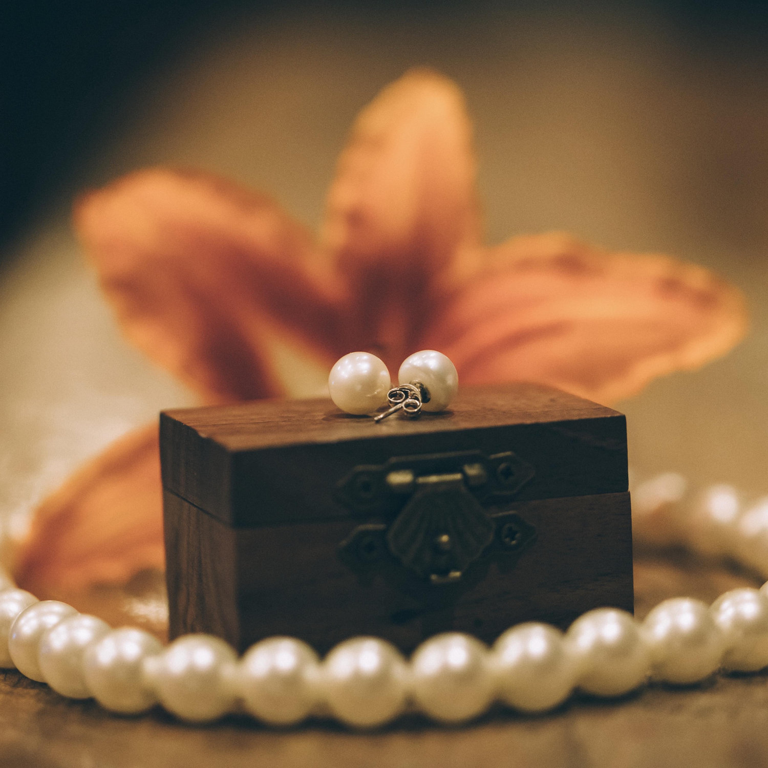 Emily's jewelry. The necklace was her grandmothers