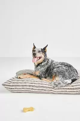 Foggy Dog Plush Dog Bed