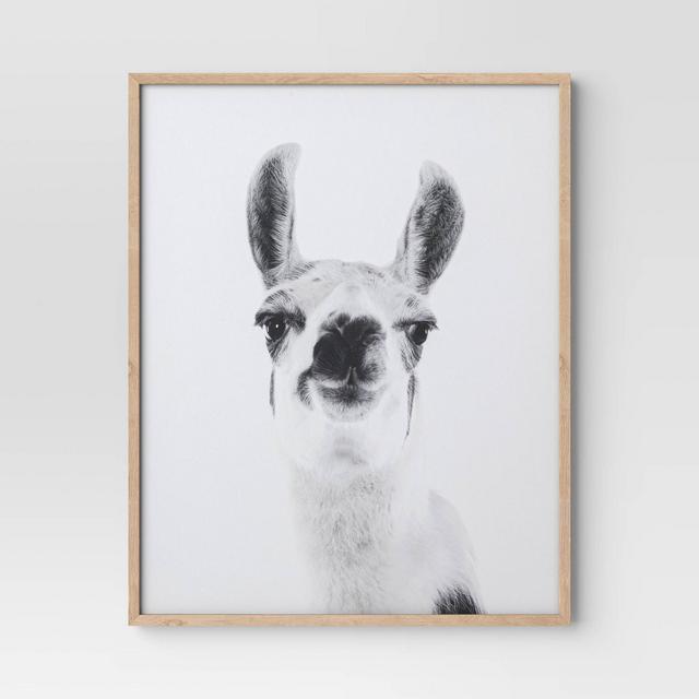 16"x20" Llama Framed Dorm Wall Art - Room Essentials™