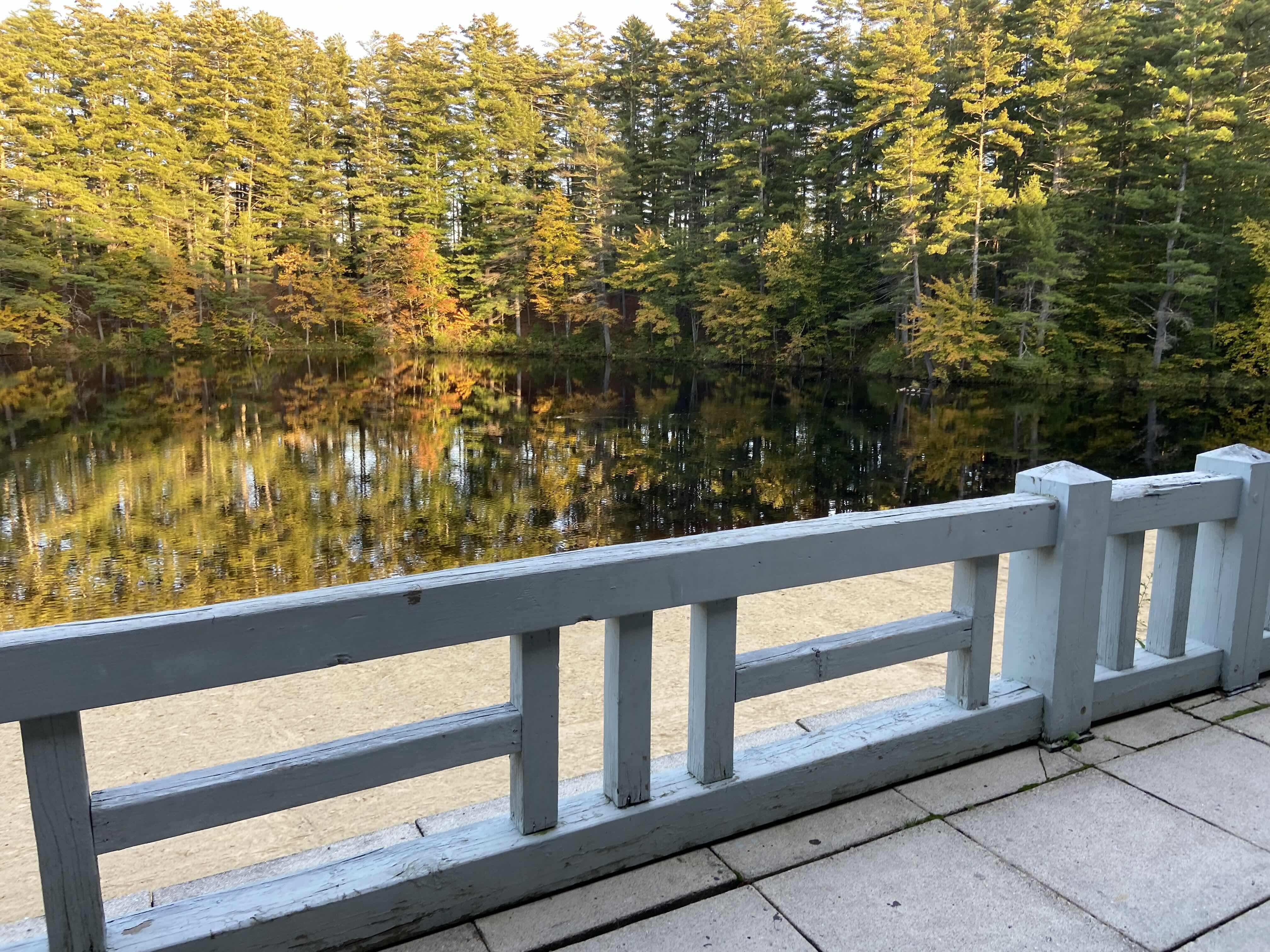 The Wedding Website of Celeste McElhaney and Ben Montembeault