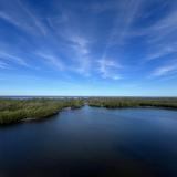 Robinson Preserve