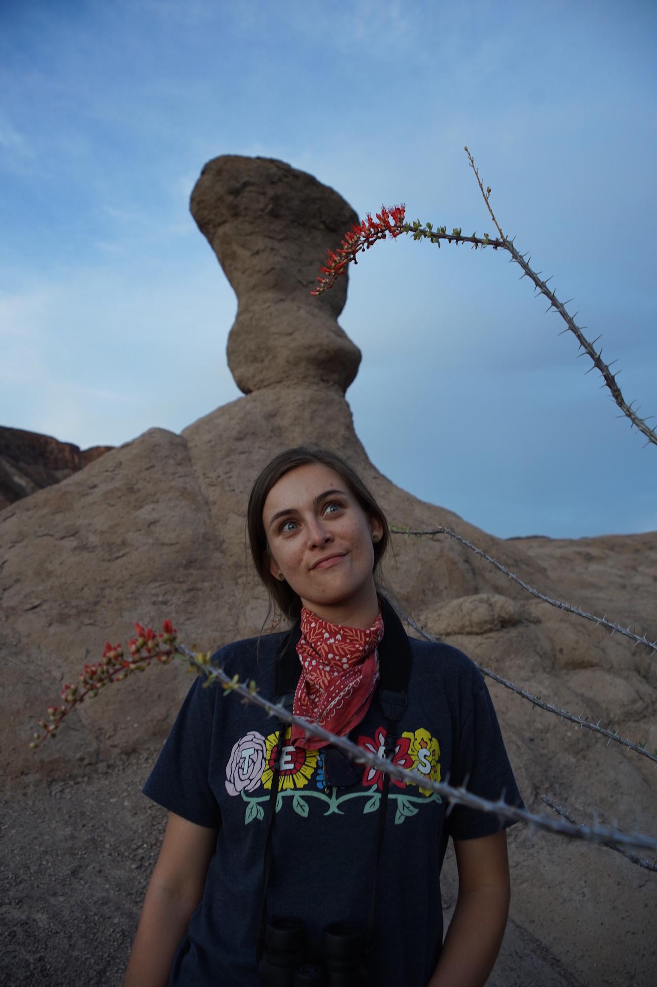 Big Bend Ranch State Park 
Ocotillo blooms and Hoodoos ❤️