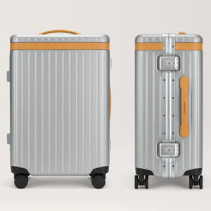 The Large Carry-on – Silver / Tan