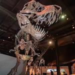 Houston Museum of Natural Science