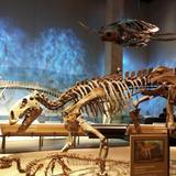 Perot Museum of Nature and Science